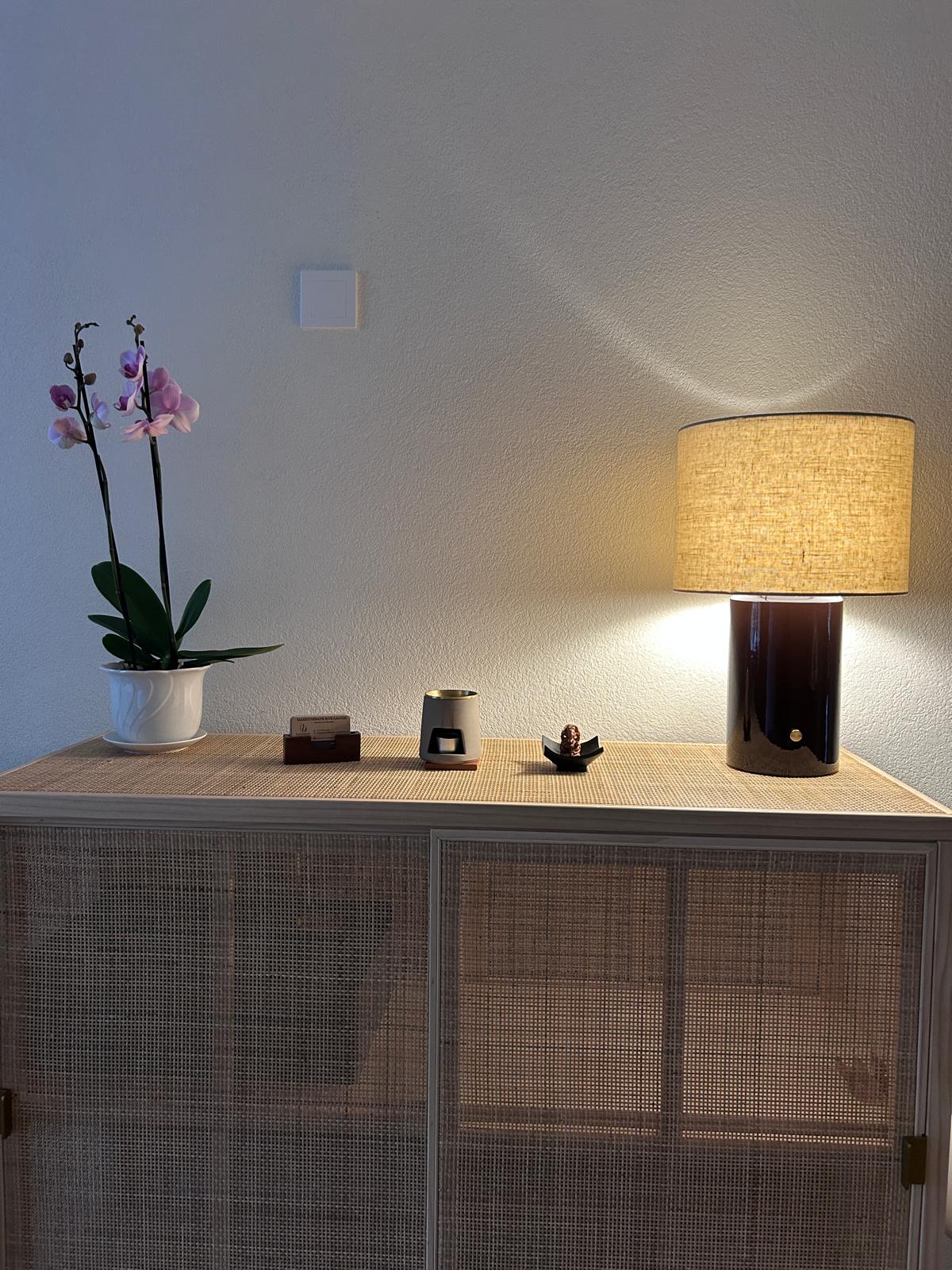 Cabinet Massage-rivegauche, Corsier